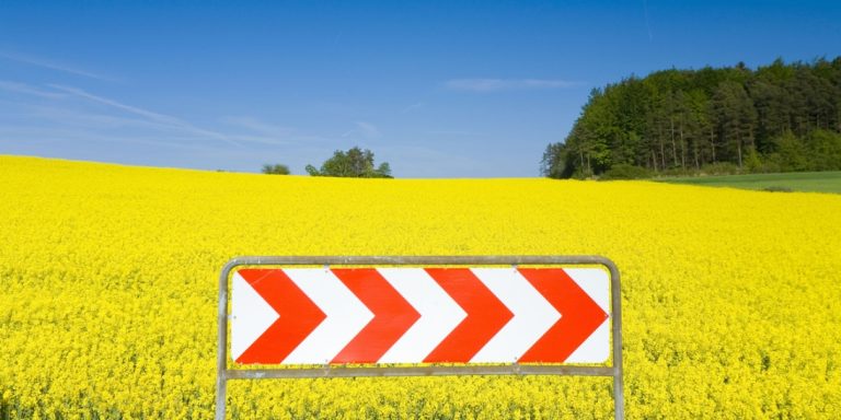 Aktywny Zdrowy Senior Rolnik